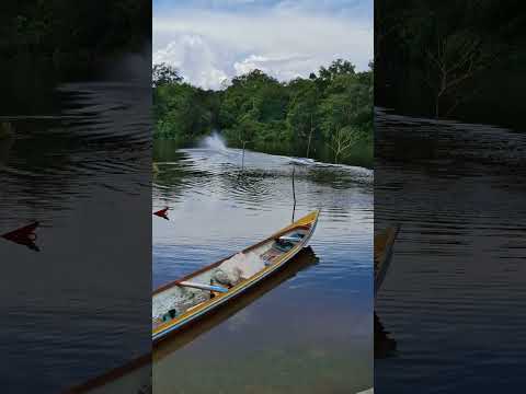 MEUS AMIGOS VINHERAM FAZER UMA VISITA
