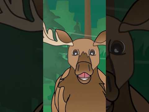 I’m a Big Old Moose #educational #kidssongs #animalsong