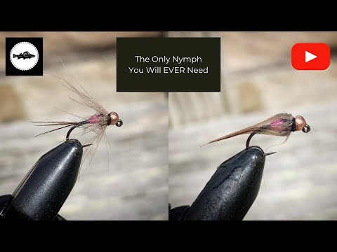 The Only Nymph You Will EVER Need ! (Catches 100% guarantee)