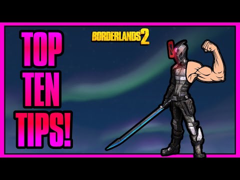 Top Ten Tips To Help Beginners Master Zer0! Borderlands 2 Assassin Guide!