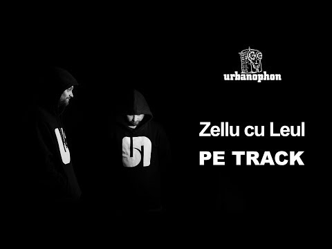 02. Zellu cu Leul - Pe track