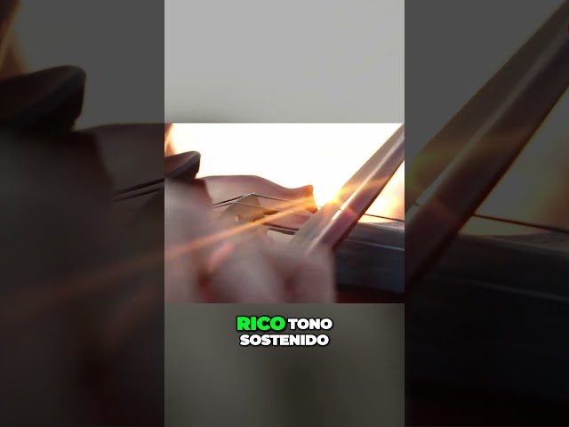 Vídeo relacionado con Alasum Báculo de Violín 1/10 para Práctica, Crin de Caballo, Sándalo Rojo, Tamaño 43-45 Cm, Color Marrón, Accesorio para Violines Infantiles y Principiantes