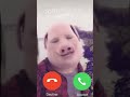 John Pork Is Calling Day 101