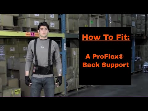 STANDARD ELASTIC BACK SUPPORT - EY1600
