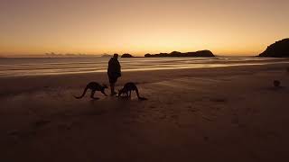 Cape Hillborough Beach