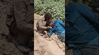 Download lagu Non Venomous Sand Boa Snake Hunting in the Fields mp3
