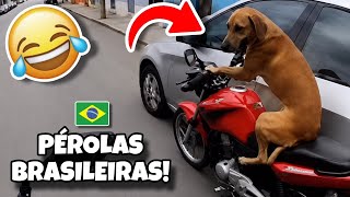 AS MELHORES PÉROLAS BRASILEIRAS 🇧🇷 | TENTE NÃO RIR IMPOSSÍVEL 😂 | VÍDEOS ENGRAÇADOS BRASILEIROS 🤣🇧🇷📹