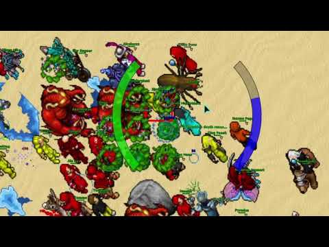 Tibia- Helera- Memento Mori- Fragmovie