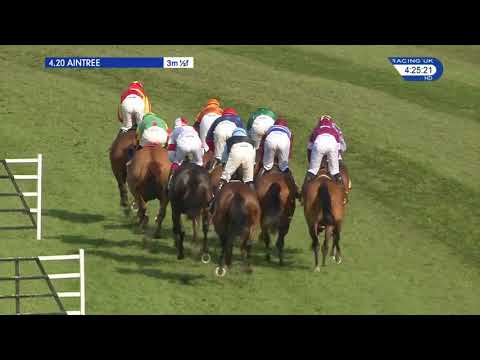 2018 Ryanair Stayers Hurdle - Identity Thief - Racing TV
