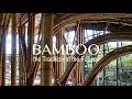 Bamboo The Tradition Of The Future