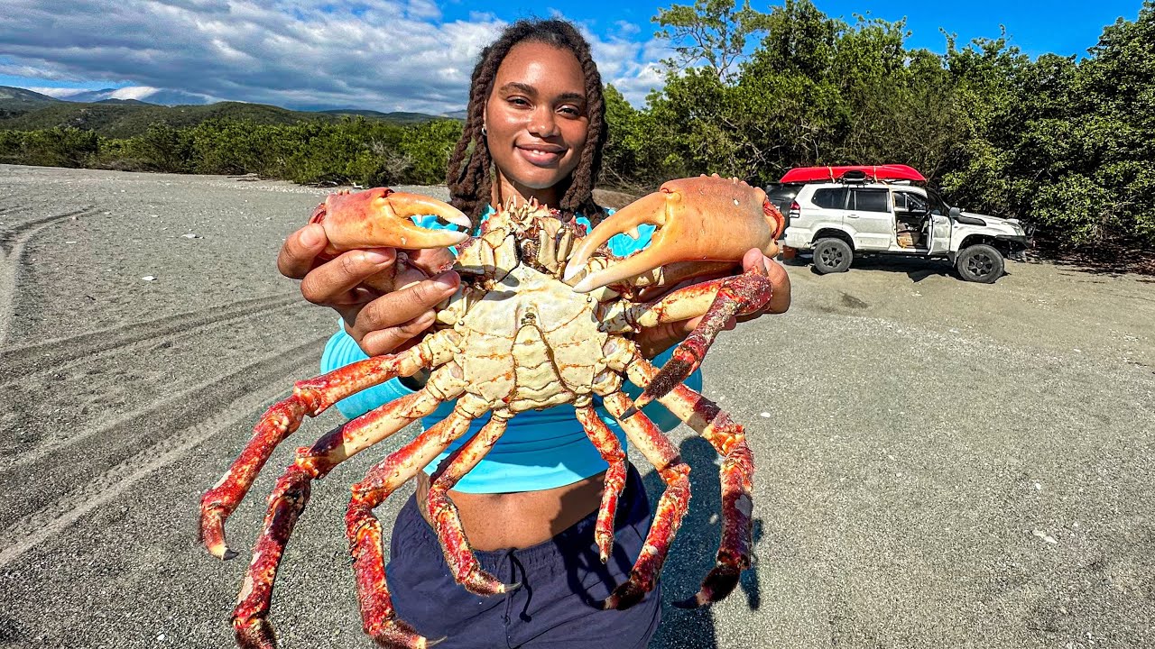 GIANT SPIDER CRAB Catch & Cook