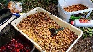Какая прикормка на сазана в июне