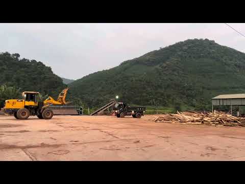 Xúc lật SHANTUI L36 gắp gỗ