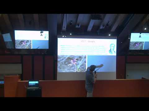 Roberto Rossin - Dall’atomo di Lucrezio al Bosone di Higgs