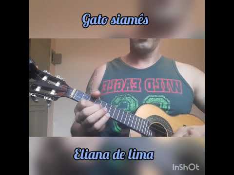 Gato Siamês - Eliana De Lima