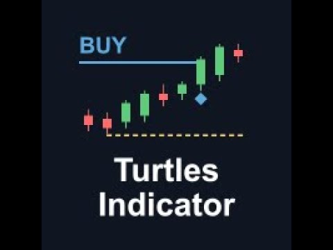 Video Turtles indicator