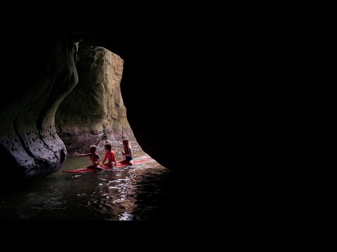 Thumbnail of the video: Official Trailer