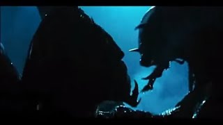 PredAlien vs Predator (AVPR) ~ Stay In Shadow