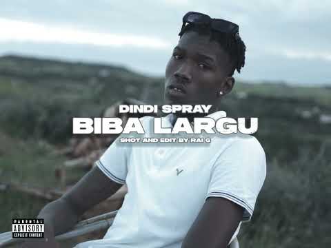 Dindi Spray - BIBA LARGU (Visualizer)