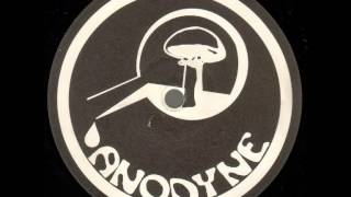 Metroscat - Polytrope