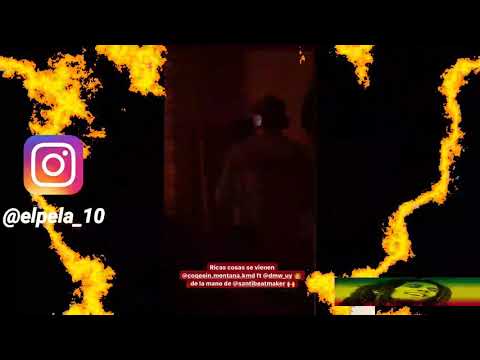 ADELANTO BEBESITA - Coqeéin Montana & DMW