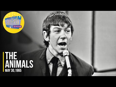 Bright Lights, Big City - The Animals
