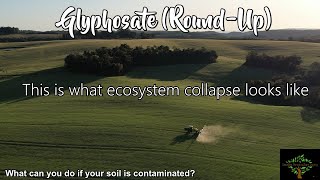 Glyphosate (Round up) in your soils? My concern with glyphosate, and things you can do.