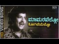 Mamaravello Kogileyello Evergreen Kannada Old Song S P Balasubrahmanyam Vishnuvardhan