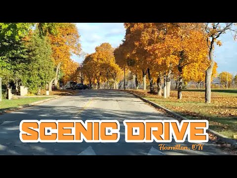 Driving Scenic Drive - Hamilton