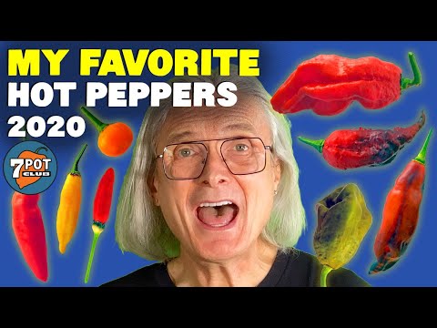 My Favorite Hot Peppers 2020