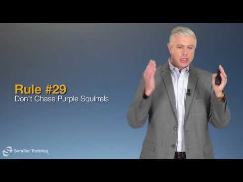 Rule #29: Don't Chase Purple Squirrels - Sandler Rules for Sales Leaders