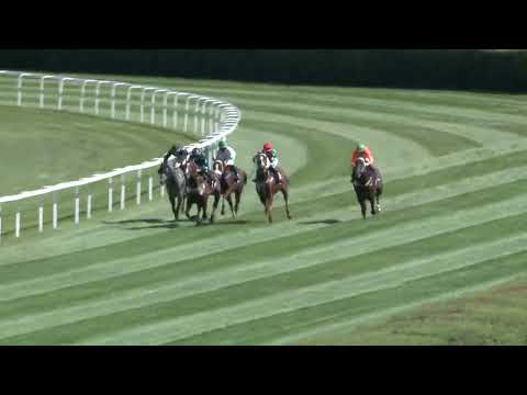 2022.09.10. 02. futam - TATTERSALLS - OVERDOSE DÍJ (HUN Gd-2) (NGL-IX.)