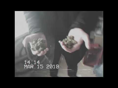 Carlsson Colucci, Orbit Emzee & tra - Dartduell im Magendoktor