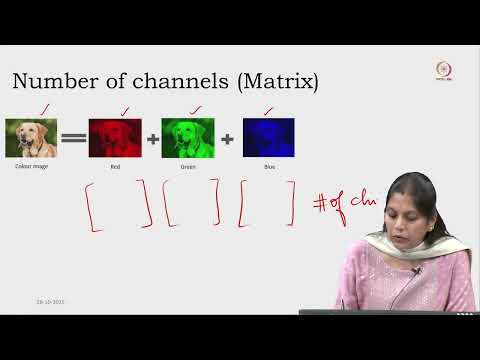 Lec 11  Fundamentals of Image representation and Image preprocessing and Data augmentation