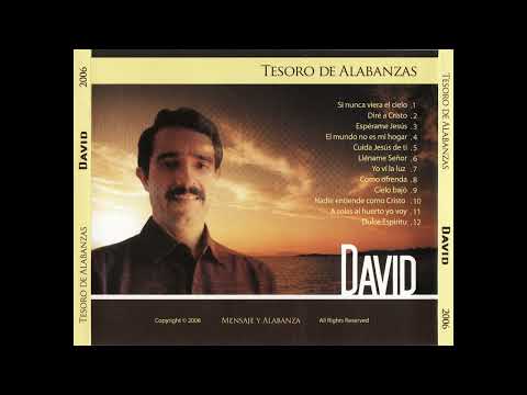 01. Si nunca viera el cielo - David Inzunza