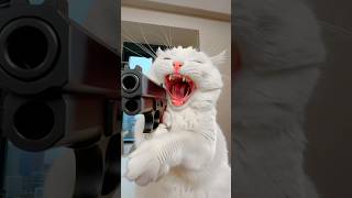СОФА ОСТАЛАСЬ ГОЛОДНАЯ😩