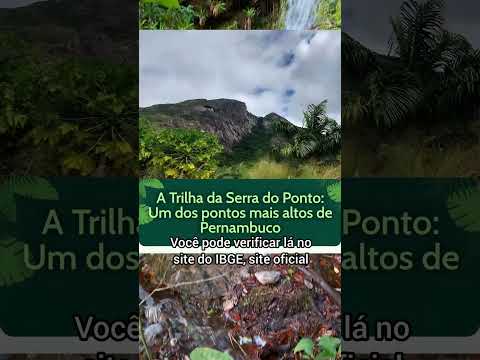 No alto da Serra da Prata. (Iati e Saloá) #nordeste #ecoturismo #natureza