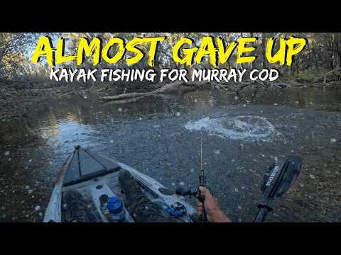 The Murray Cod That Nearly ended up my Trip