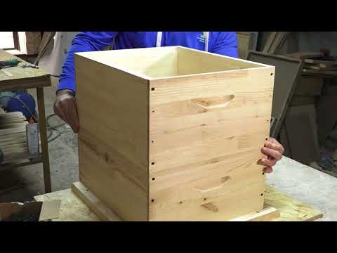 Agricultura Performantă în Moldova – Lecția nr.2, Apicultura