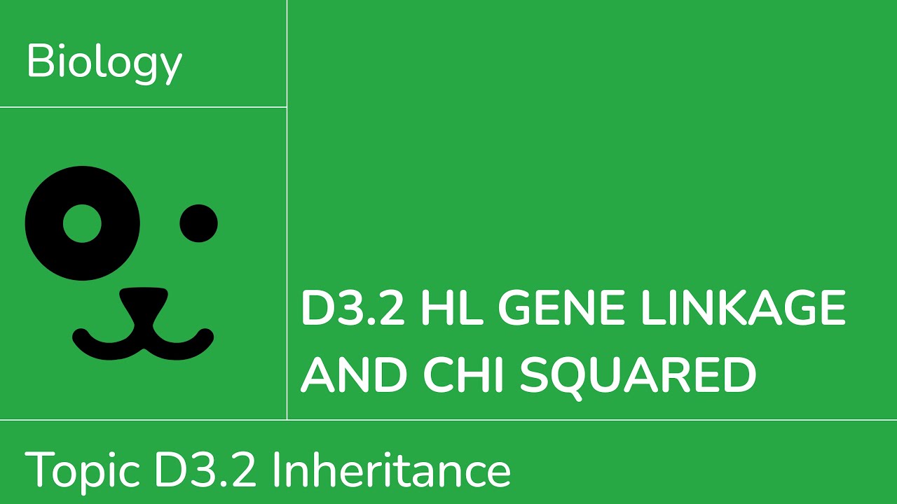 D3.2 HL Gene Linkage and Chi Squared [IB Biology HL]