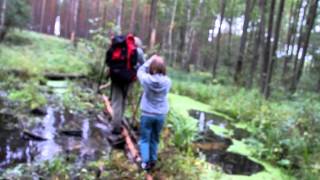 preview picture of video 'PLISZKA ❤ rzeka / lato-jesień (jezioro Ratno oraz bagna)'