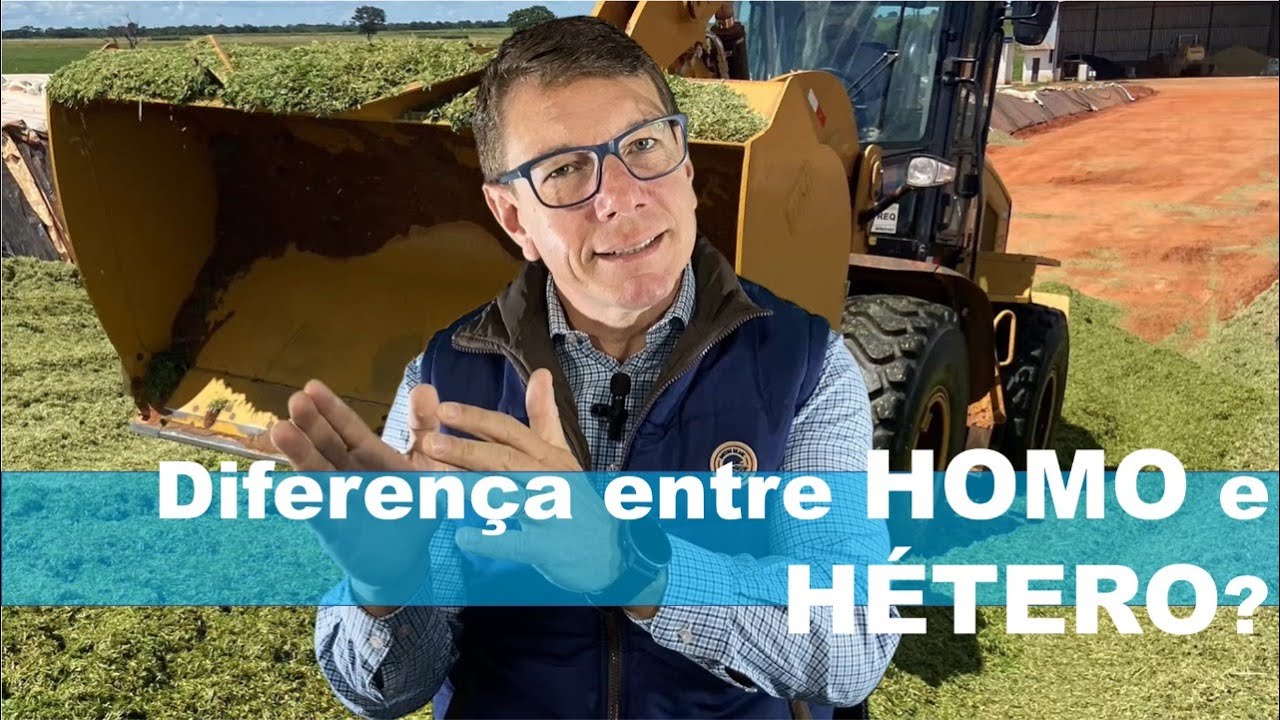 As diferentes fermentações na silagem