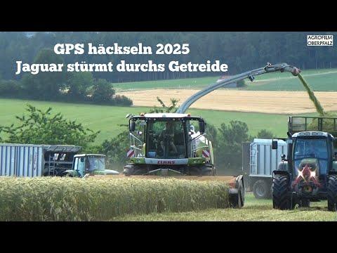 980 on Fire #17 | Speed GPS häckseln | Claas Jaguar 980 stürmt durchs Getreide | LU Spitzner