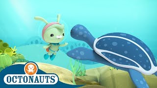 Octonauts - Deep Water Trouble | Cartoons for Kids | Underwater Sea Education