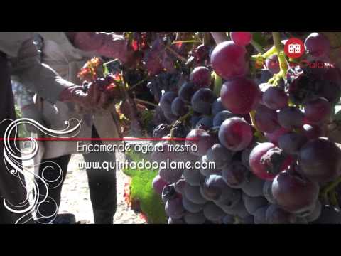 Quinta do Palame