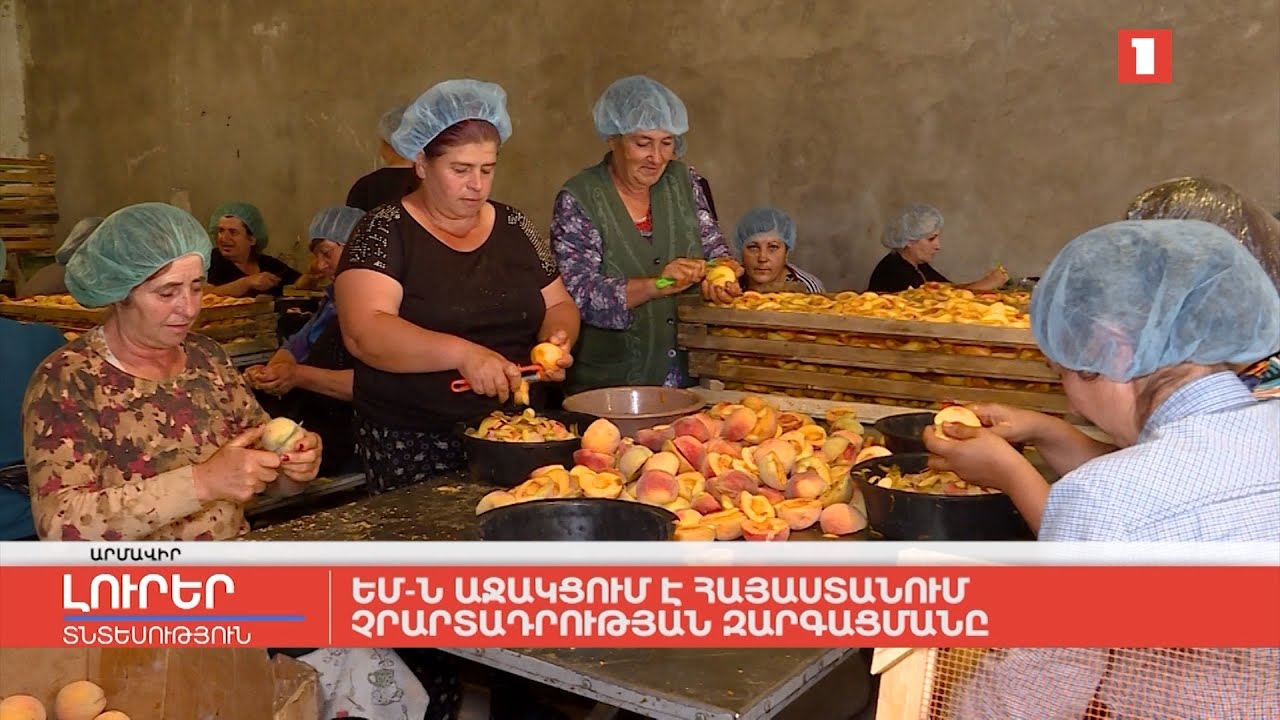 ԵՄ-ն աջակցում է Հայաստանում չրարտադրության զարգացմանը