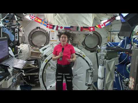 Expedition 60 In Flight Bustle Digital Group - August 14, 2019