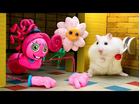 🔴 Hamster Maze Live 24/7 | The World's Largest Hamster Monster Maze