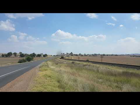 Qube Trip Train 3316 junee 864 4497 872