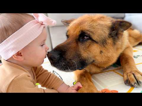 YouTube 썸네일